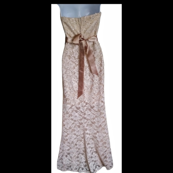 Vintage rose gold lace dress - Picture 3 of 9